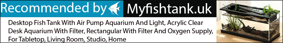 Desktop Fish Tank
